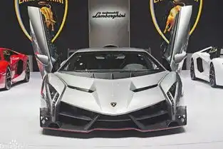 价值亿元的超级跑车兰博基尼毒药veneno