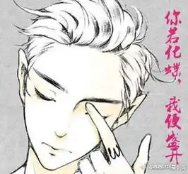 你若化蝶,我便盛开红酒不加冰