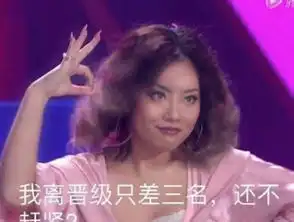 101王菊啥梗一夜变成菊内人
