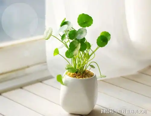 好久不见,想你了真的好想你