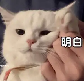突发多国宣布调整入境政策,对华防疫升级