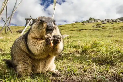 避世仙境,走进这处原始村落,一眼就沉醉