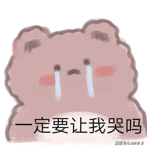 澳洲最酷的小猫咪乱拳打死剧毒蛇王结局却让无数网友心碎