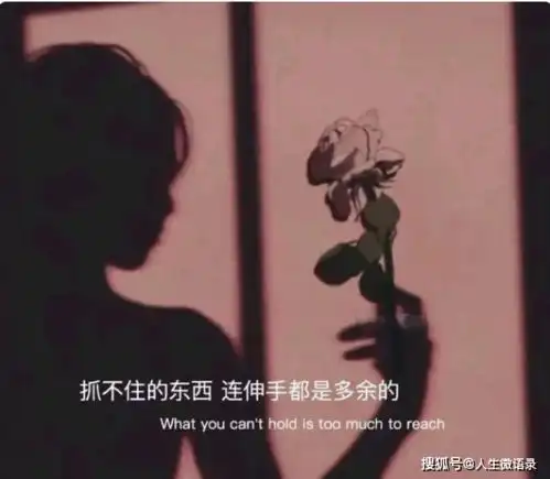 释放心灵的唯美句子,人海沉浮,谁先释怀谁幸福