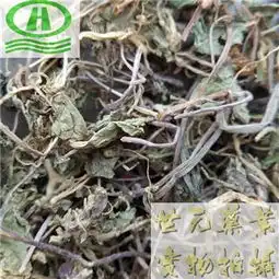 世元药业积雪草正品别称十八缺崩大碗马蹄草雷公根蚶壳草铜钱草落得打老公根