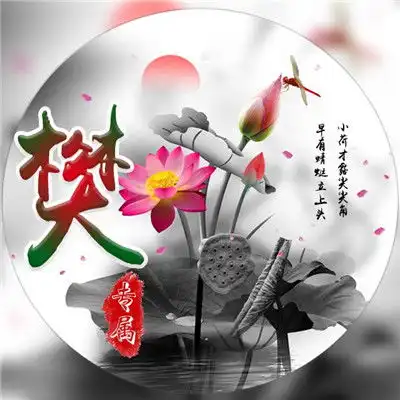 荷花姓氏微信头像,你的专属头像喜欢荷花的来
