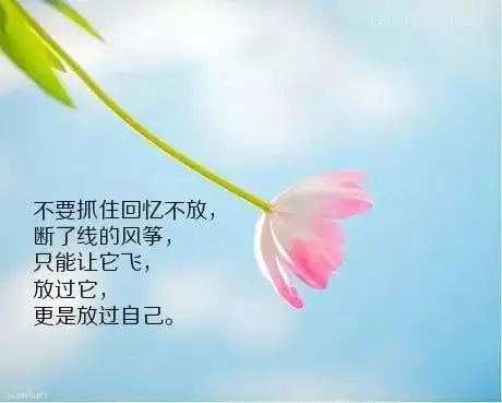写进心窝里的一句话说说心情短语,朋友圈触动人心的唯美语录