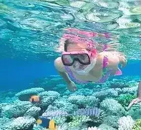 测试一个超长简介的文章