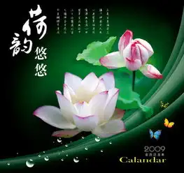图片免费下载荷韵悠悠素材荷韵悠悠模板千图网