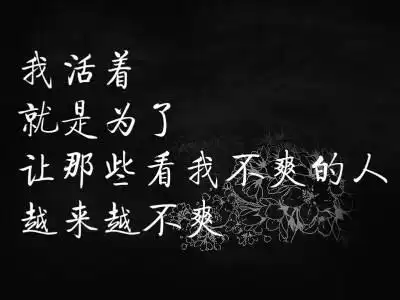 有没有贱人文字图片,不含动画