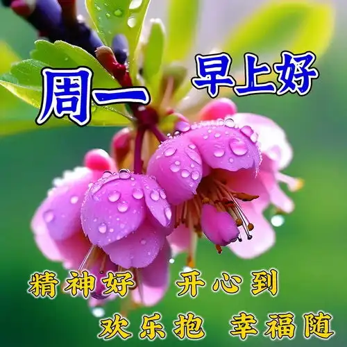早安祝福问候语图片带字祝福大全,愿我们每天都健康平安幸福