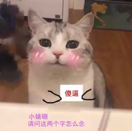 喵铲屎的,请问这两个字怎么念