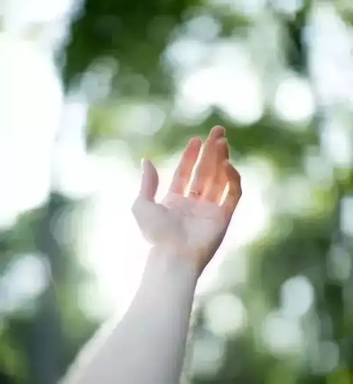 测试一个超长简介的文章