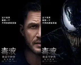 毒液致命守护者零点场,安排