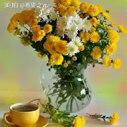 希望之光的美拍