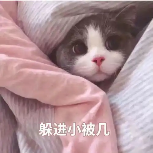 千万别带这些吃的喝的过不了日本海关日本留学