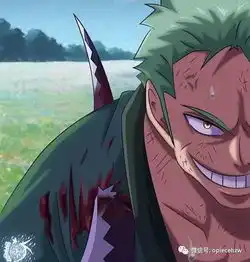 海贼王索隆的隐藏属性,高级武装色霸气成就最强剑豪