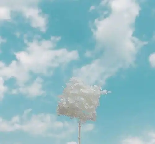 朋友圈最经典的早安文案,唯美舒心,让人一看就喜欢