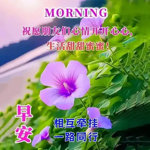 开启美好一天的早安问候语早上好祝福句子带唯美祝福图片