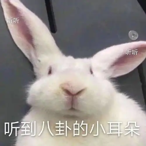 假设他出生在八月论出生月份如何影响个体发展