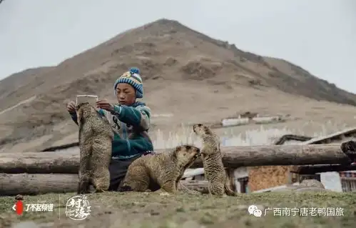 唐老鸭自组团,10月19日,深秋行摄色达新都桥海螺沟八日纯玩游,费用2980元人马尔康