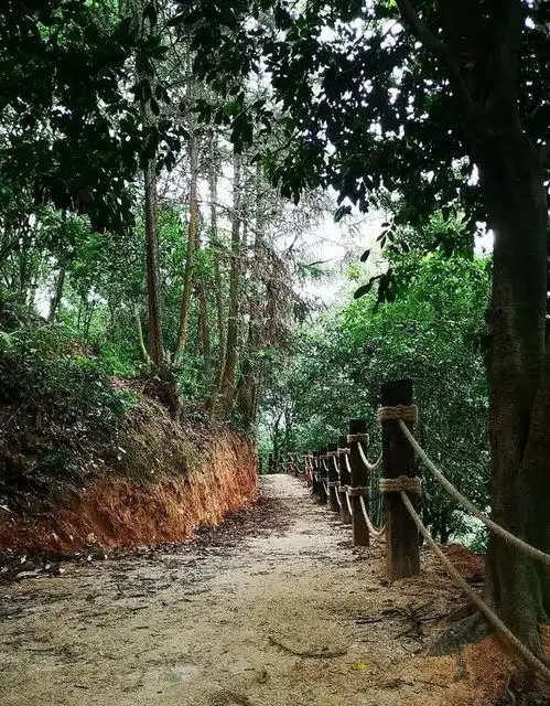 你想要的步道通识都在这步道常见问题十五问