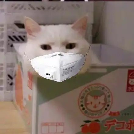 口罩头像春天来了,一切都会好的