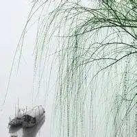 测试一个超长简介的文章