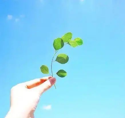 写给自己很经典的人生感悟说说,句句经典,话糙理不糙