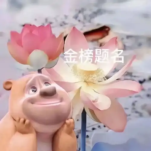 小布说天气跟夏天拍个荷照,好运连连