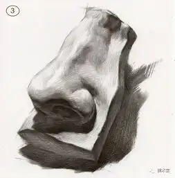 素描石膏头像鼻子剖析