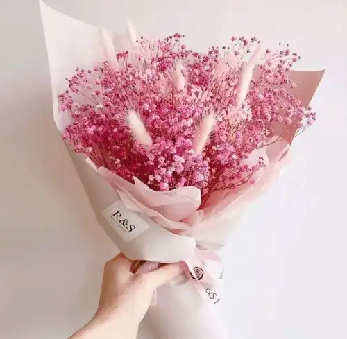 心理测试选一款你喜欢的满天星,测最近你能遇见自己的一生挚爱吗