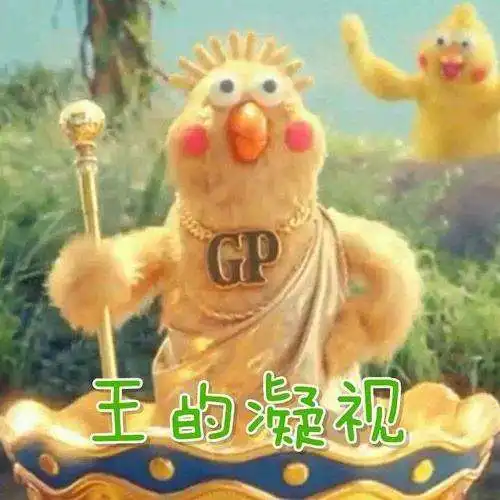 萌萌哒小黄鸡到底是啥不了解它们你的良心不会痛吗