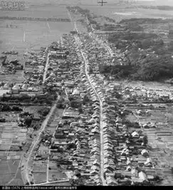1945年战败投降之后日本人都在干什么