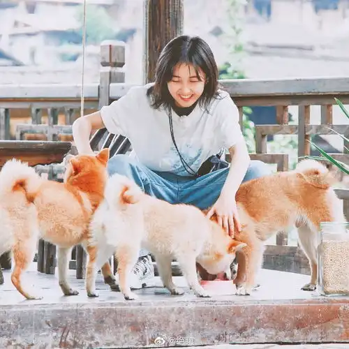 子枫妹妹图片