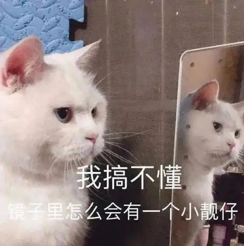 表情包我什么都不可以