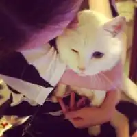 变乖or变坏都是因爲鉨