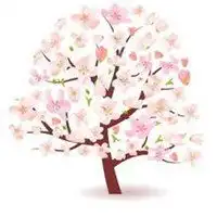 微信走桃花运头像女微信头像图片大全