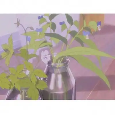 白边背景图微信朋友圈专用白边唯美背景