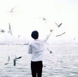 测试一个超长简介的文章