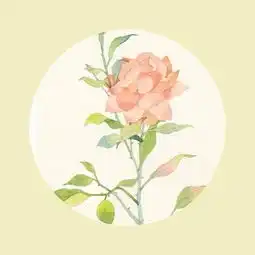 2018精辟语录,一针见血,让人一看就赞