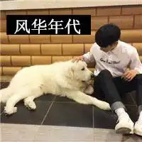 测试一个超长简介的文章