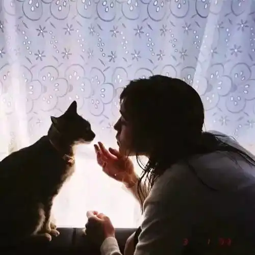 200张热门微信男女生头像