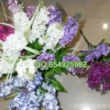 外贸干花仿真花价格外贸干花仿真花批发外贸干花仿真花厂家hc360慧聪网