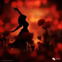 教你拍出梦幻照片的8个小技巧