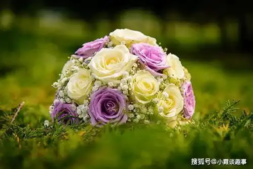 精辟有内涵的短语说说,富含哲理,句句走心