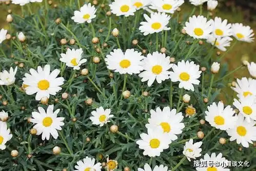 让人心碎的情感句子,句句经典至极,让人百看不厌