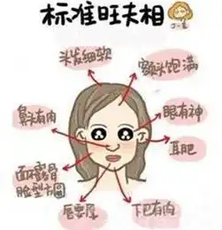 丰耳垂可以提升运势
