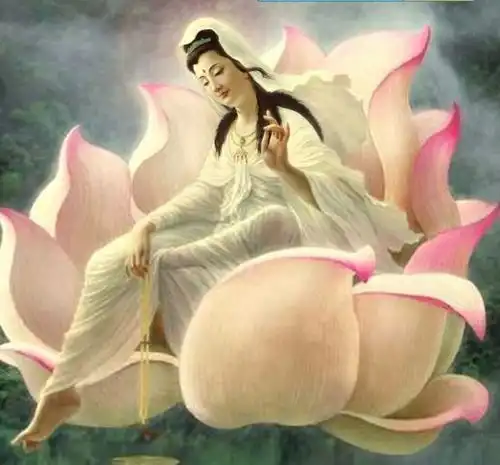 测试一个超长简介的文章