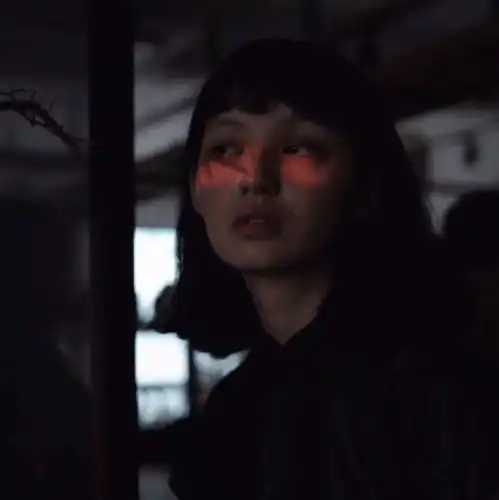 测试一个超长简介的文章
